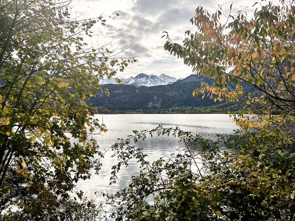 Alpine Serenity