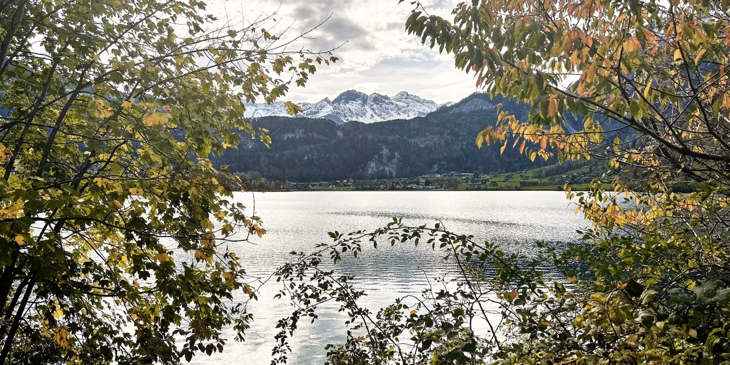 Snow-covered mountains across a lake, framed by autumn leaves in Switzerland.